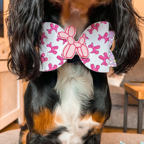 birthday bow tie